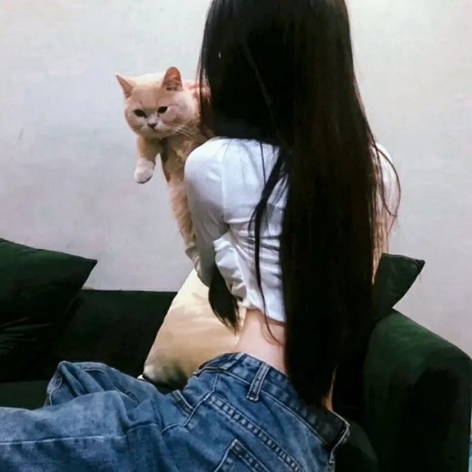 哈丽特